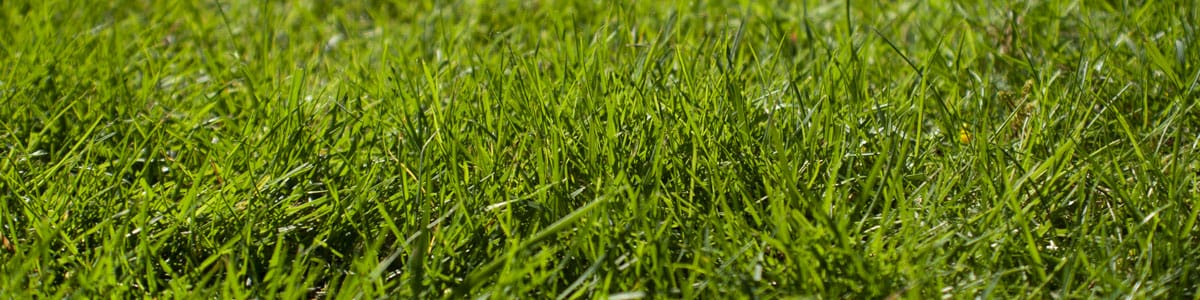 irrigation systems