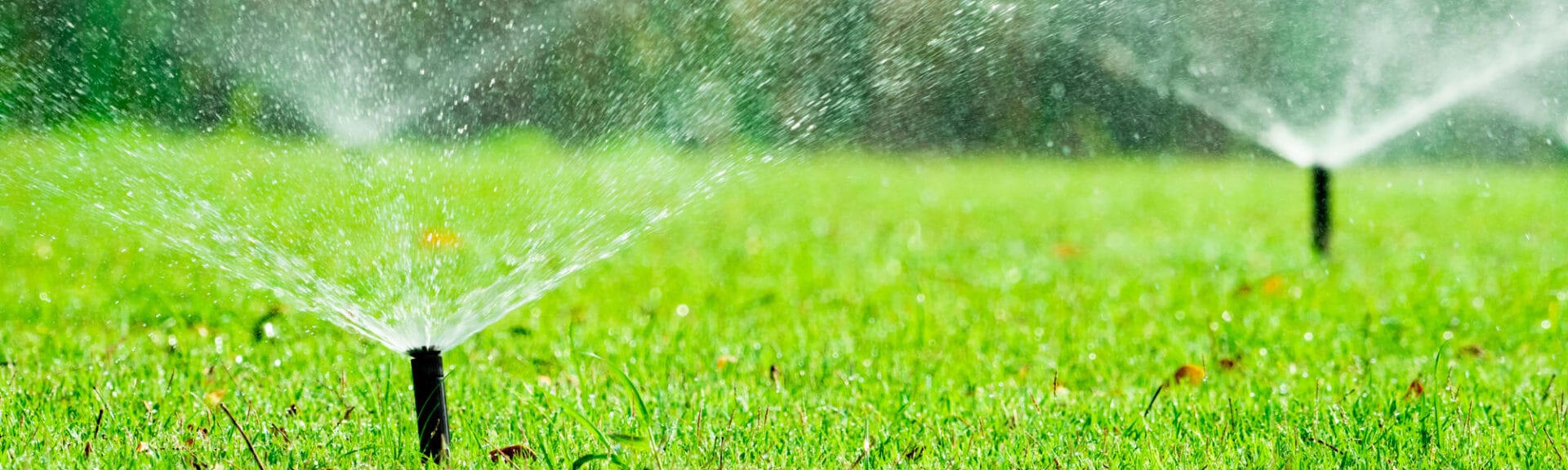 Automatic Lawn Sprinkler Watering Green Grass. Sprinkler With Au