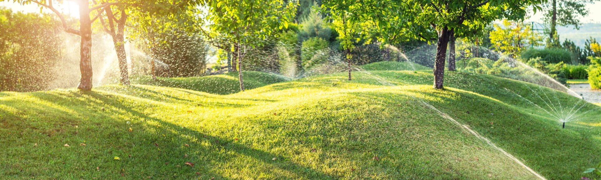 Automatic Garden Watering System With Different Sprinklers Insta